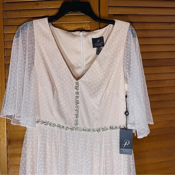 Adrianna Papell By Anthropologie Rivoli Tulle Blush Rose Gown Sz 10 NWT - Picture 2 of 10